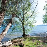 Lejlighed Ceriana-5 By Interhome Ghiffa